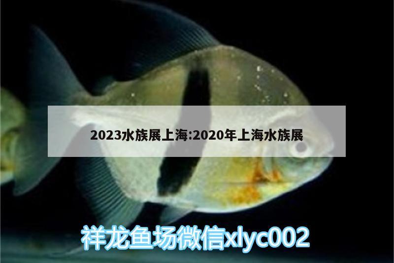 2023水族展上海:2020年上海水族展 水族展會(huì)