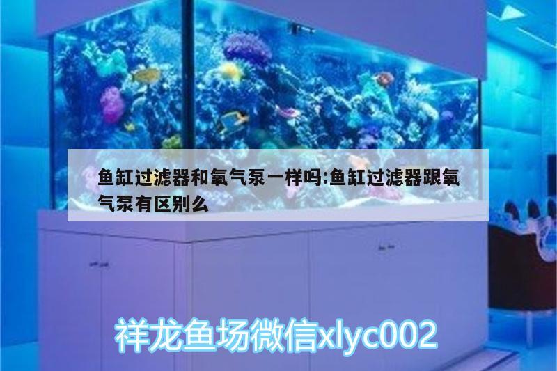 魚缸過濾器和氧氣泵一樣嗎:魚缸過濾器跟氧氣泵有區(qū)別么 黃金眼鏡蛇雷龍魚