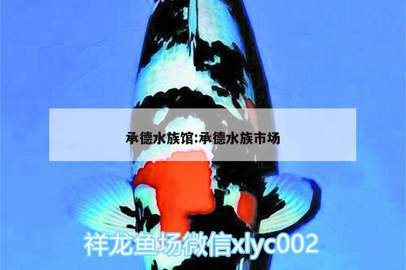 承德水族館:承德水族市場(chǎng)