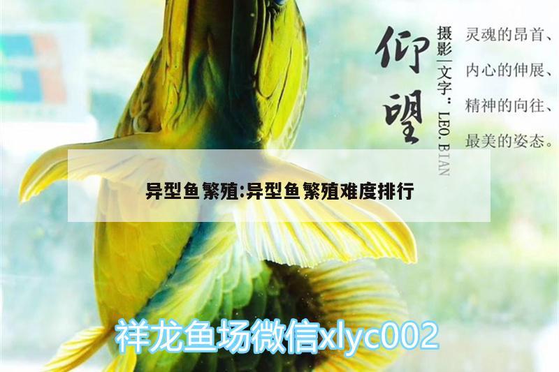 異型魚繁殖:異型魚繁殖難度排行