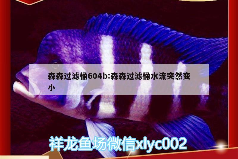 森森過濾桶604b:森森過濾桶水流突然變小