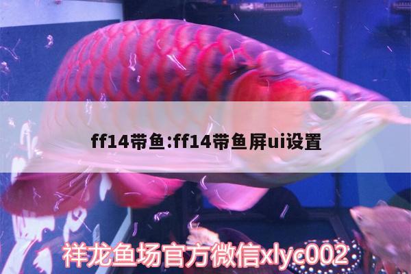 ff14帶魚:ff14帶魚屏ui設置 黃金達摩魚