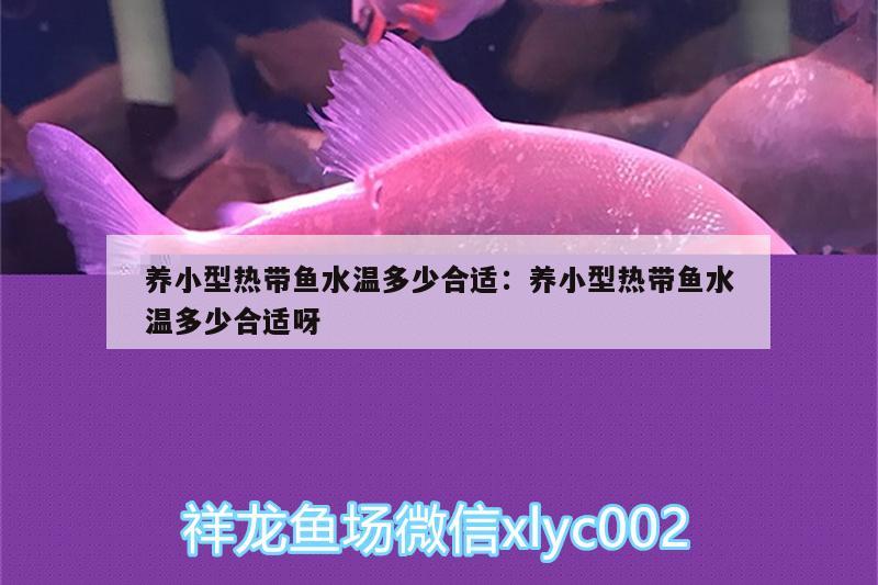 養(yǎng)小型熱帶魚水溫多少合適:養(yǎng)小型熱帶魚水溫多少合適呀 一眉道人魚苗