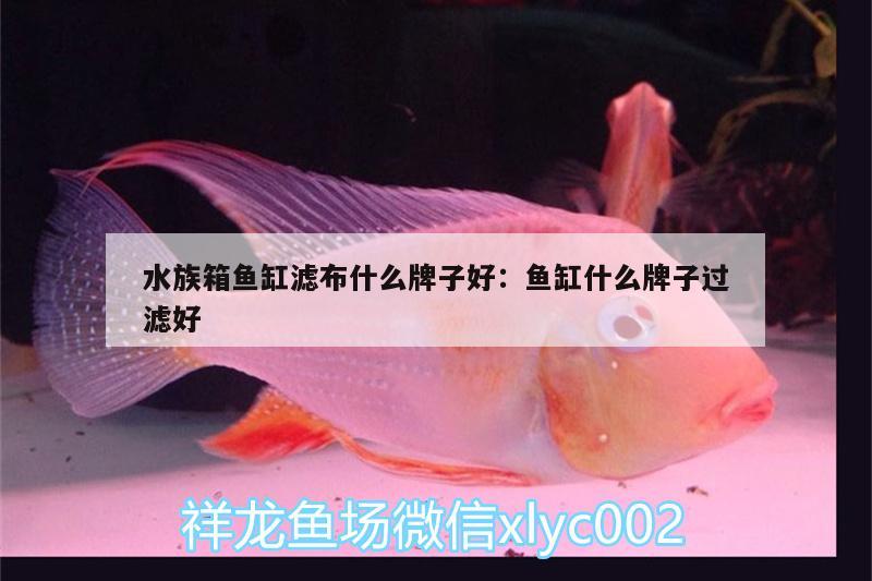 水族箱魚缸濾布什么牌子好:魚缸什么牌子過濾好 魚缸/水族箱