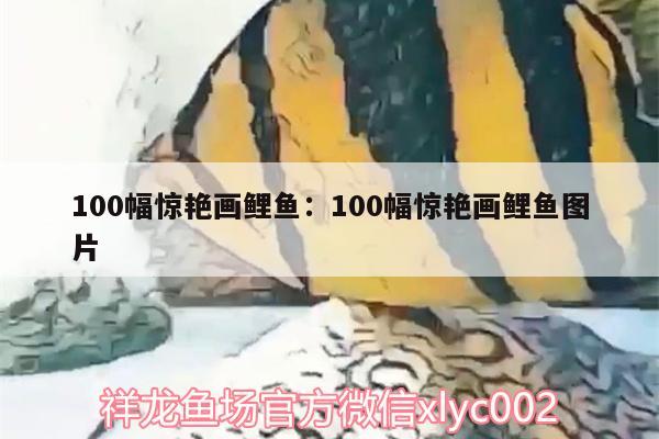 100幅驚艷畫鯉魚:100幅驚艷畫鯉魚圖片 委內瑞拉奧里諾三間魚苗