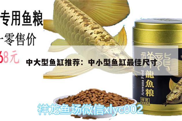 中大型魚缸推薦:中小型魚缸最佳尺寸