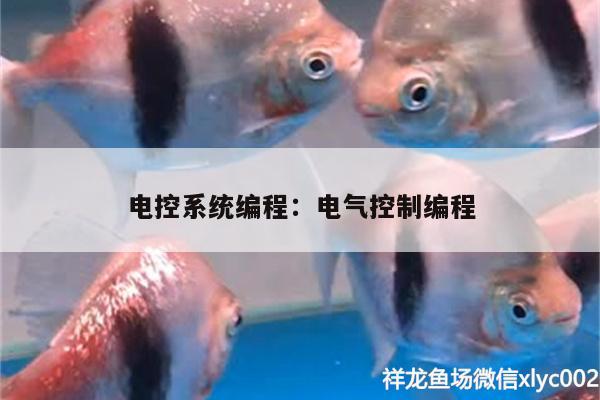 電控系統(tǒng)編程:電氣控制編程