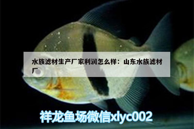 水族濾材生產廠家利潤怎么樣:山東水族濾材廠