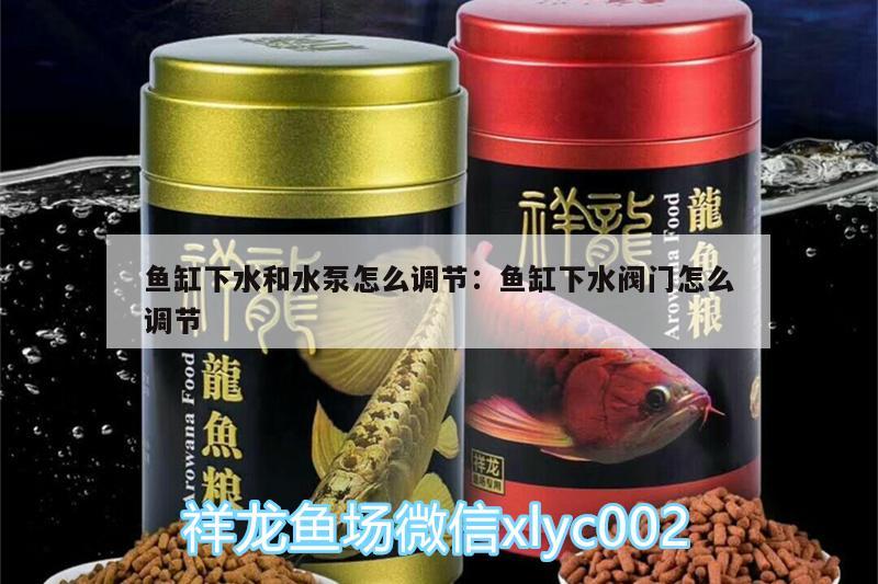 魚缸下水和水泵怎么調(diào)節(jié):魚缸下水閥門怎么調(diào)節(jié) 七紋巨鯉魚