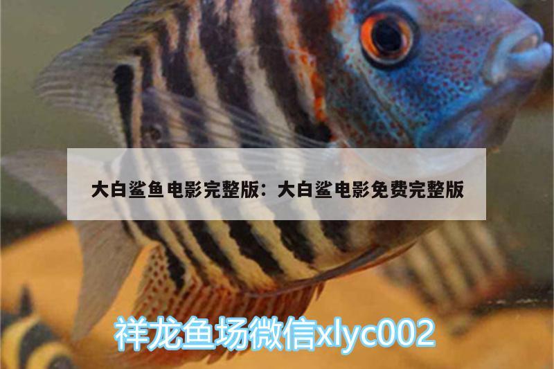 大白鯊魚電影完整版:大白鯊電影免費(fèi)完整版 大白鯊魚