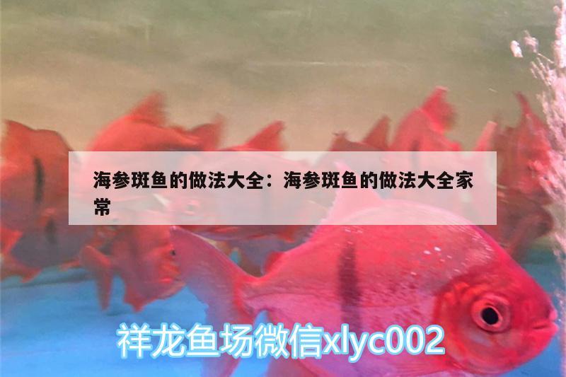 海參斑魚的做法大全:海參斑魚的做法大全家常 紅眼黃化幽靈火箭魚|皇家火箭魚