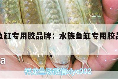 水族魚缸專用膠品牌:水族魚缸專用膠品牌排行榜