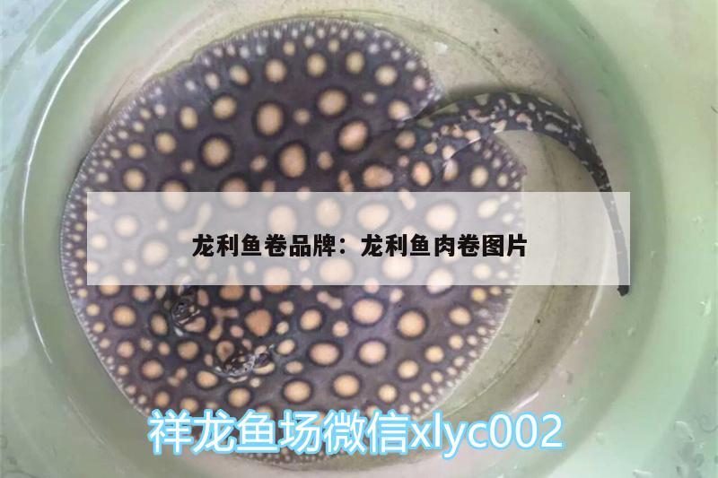 龍利魚卷品牌:龍利魚肉卷圖片 黑帝王魟魚