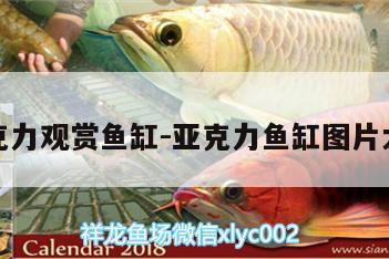 亞克力觀賞魚缸:亞克力魚缸圖片大全 魚缸水質(zhì)穩(wěn)定劑