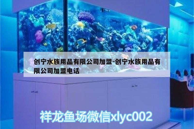 創(chuàng)寧水族用品有限公司加盟:創(chuàng)寧水族用品有限公司加盟電話 創(chuàng)寧水族