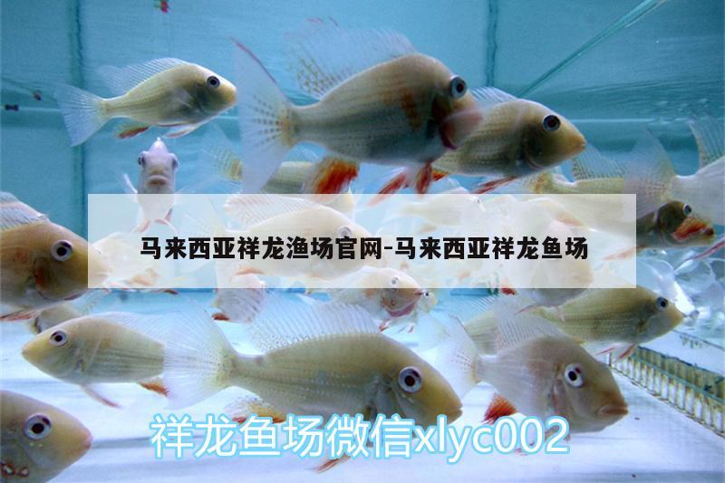 馬來西亞祥龍漁場官網(wǎng):馬來西亞祥龍魚場 祥龍魚場