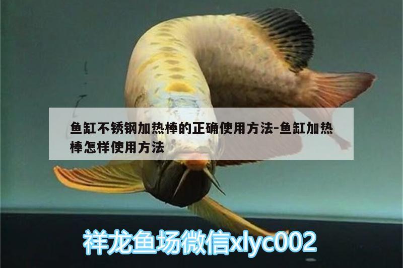 魚缸不銹鋼加熱棒的正確使用方法:魚缸加熱棒怎樣使用方法