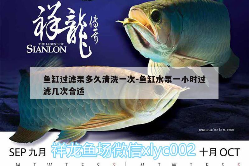 魚缸過濾泵多久清洗一次:魚缸水泵一小時過濾幾次合適 魚缸水泵