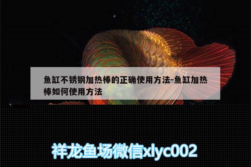 魚缸不銹鋼加熱棒的正確使用方法:魚缸加熱棒如何使用方法 黃金貓魚