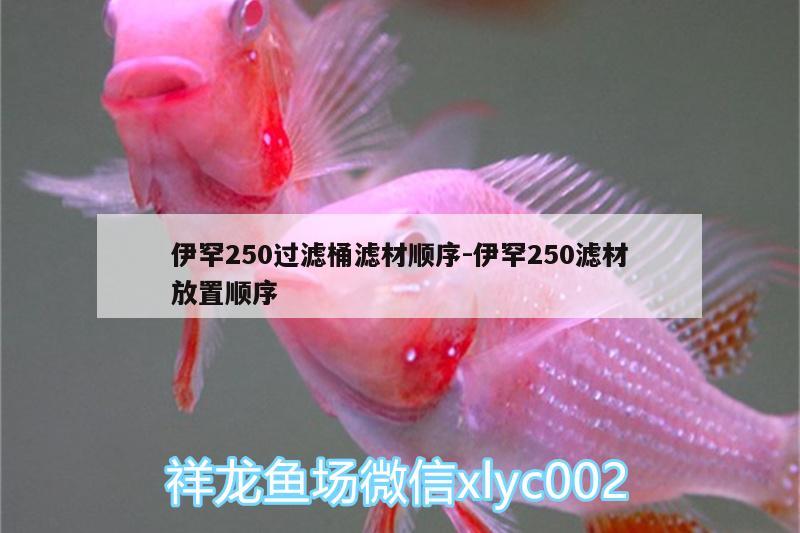 伊罕250過(guò)濾桶濾材順序:伊罕250濾材放置順序 伊罕水族 第2張