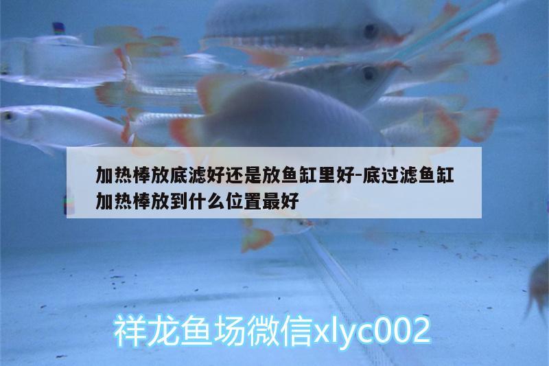 加熱棒放底濾好還是放魚缸里好:底過濾魚缸加熱棒放到什么位置最好 觀賞魚市場(chǎng)（混養(yǎng)魚）