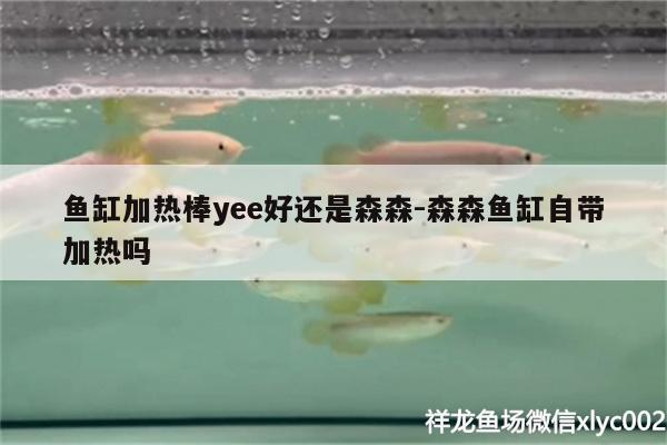 魚缸加熱棒yee好還是森森:森森魚缸自帶加熱嗎