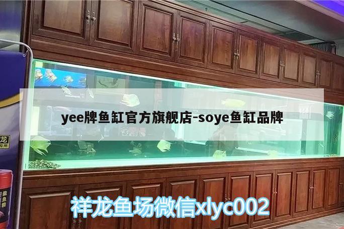 yee牌魚缸官方旗艦店:soye魚缸品牌 yee