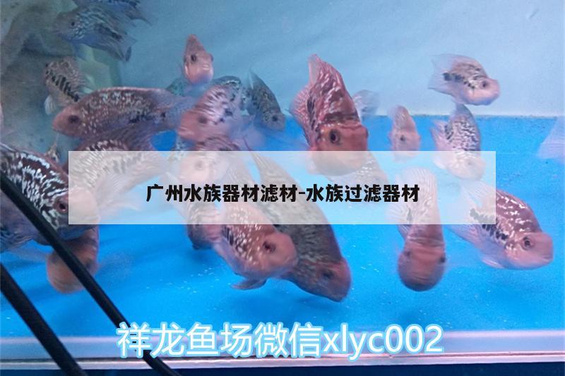 廣州水族器材濾材:水族過(guò)濾器材 祥龍超血紅龍魚