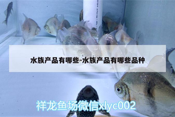 水族產(chǎn)品有哪些:水族產(chǎn)品有哪些品種 黑桃A魚