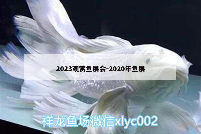 2023觀賞魚展會:2020年魚展