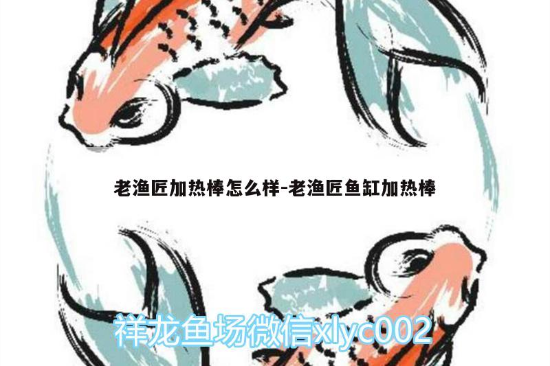 老漁匠加熱棒怎么樣:老漁匠魚缸加熱棒