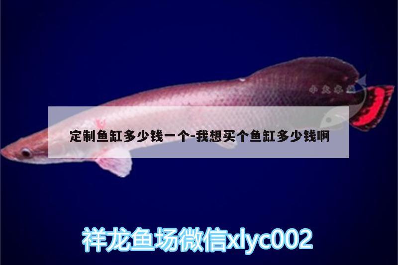 定制魚缸多少錢一個:我想買個魚缸多少錢啊