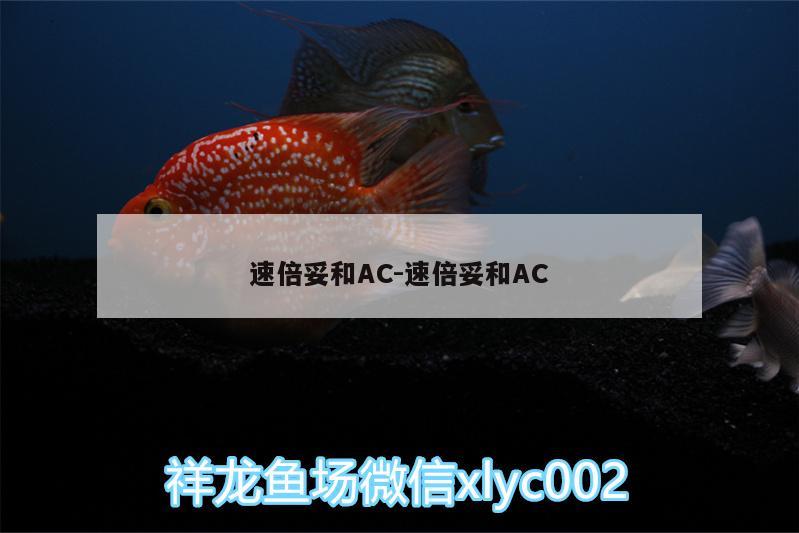 速倍妥和AC:速倍妥和AC 速倍妥