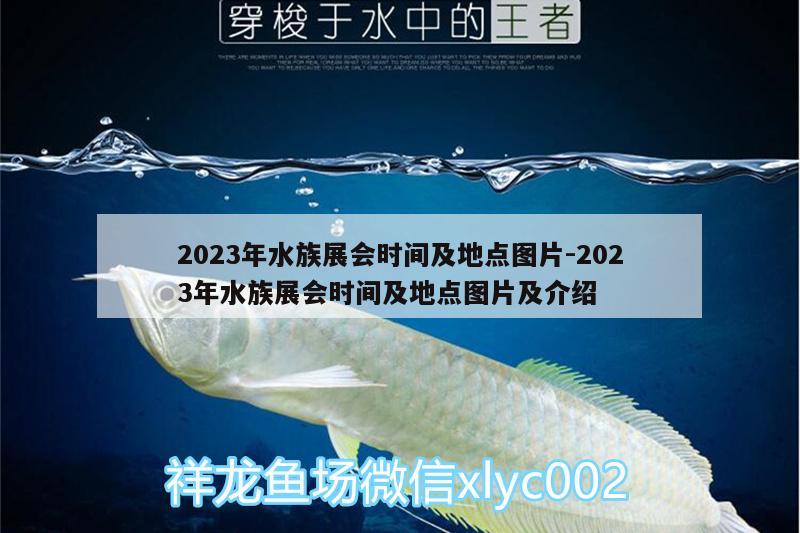 2023年水族展會時間及地點圖片:2023年水族展會時間及地點圖片及介紹 水族展會