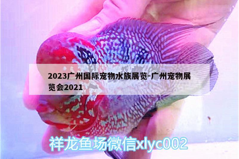 2023廣州國際寵物水族展覽:廣州寵物展覽會(huì)2021