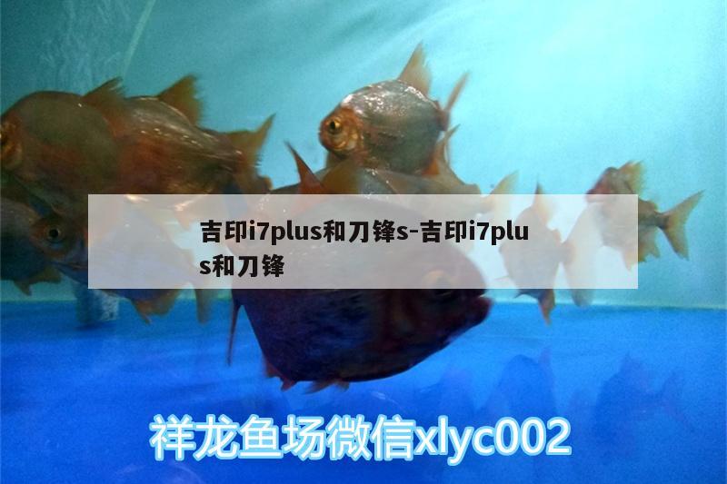 吉印i7plus和刀鋒s:吉印i7plus和刀鋒 吉印水族