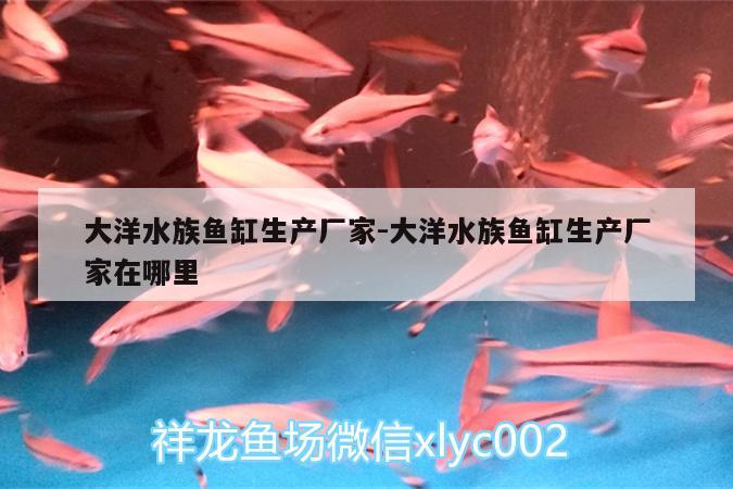 大洋水族魚缸生產廠家:大洋水族魚缸生產廠家在哪里