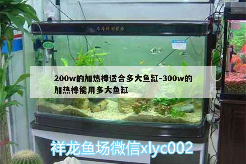 200w的加熱棒適合多大魚缸:300w的加熱棒能用多大魚缸 野彩魚