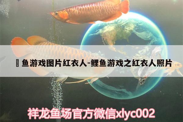 鲉魚游戲圖片紅衣人:鯉魚游戲之紅衣人照片