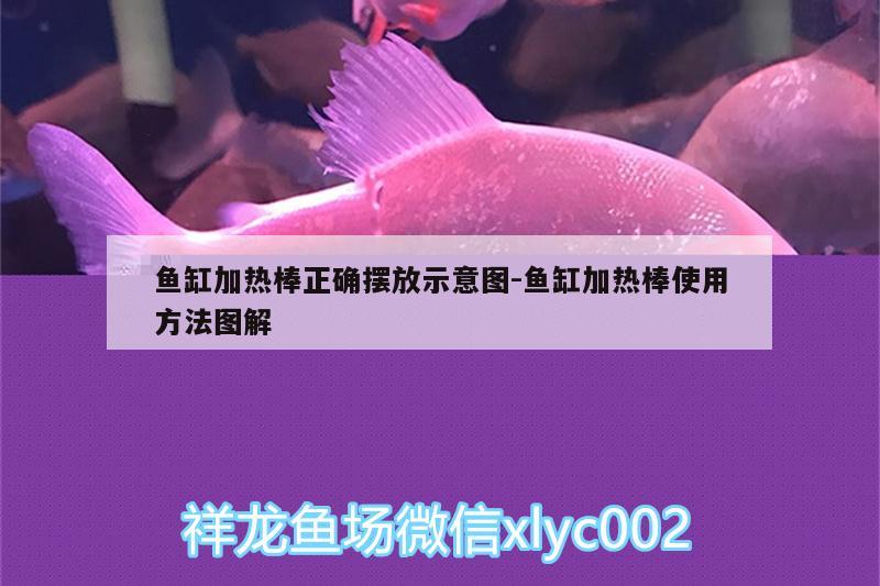 魚(yú)缸加熱棒正確擺放示意圖:魚(yú)缸加熱棒使用方法圖解