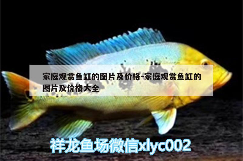 家庭觀賞魚缸的圖片及價格:家庭觀賞魚缸的圖片及價格大全 戰(zhàn)車紅龍魚