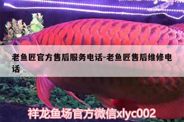 老魚(yú)匠官方售后服務(wù)電話:老魚(yú)匠售后維修電話