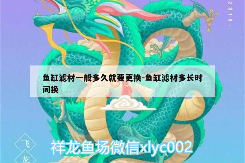 魚缸濾材一般多久就要更換:魚缸濾材多長(zhǎng)時(shí)間換