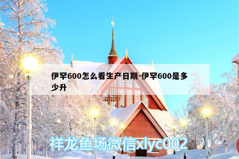 伊罕600怎么看生產(chǎn)日期:伊罕600是多少升