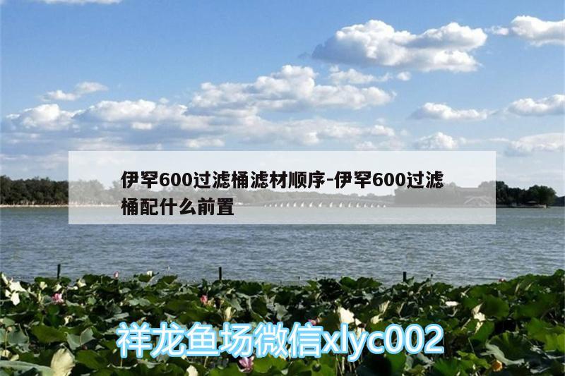 伊罕600過濾桶濾材順序:伊罕600過濾桶配什么前置 伊罕水族