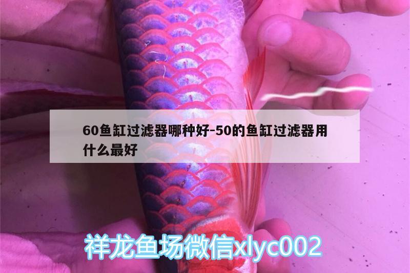 60魚(yú)缸過(guò)濾器哪種好:50的魚(yú)缸過(guò)濾器用什么最好