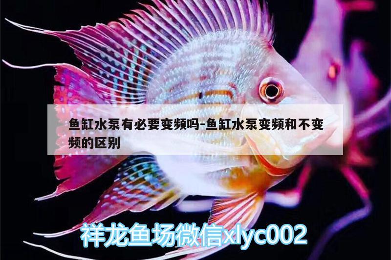 魚缸水泵有必要變頻嗎:魚缸水泵變頻和不變頻的區(qū)別