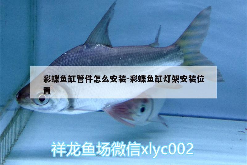 彩蝶魚缸管件怎么安裝:彩蝶魚缸燈架安裝位置