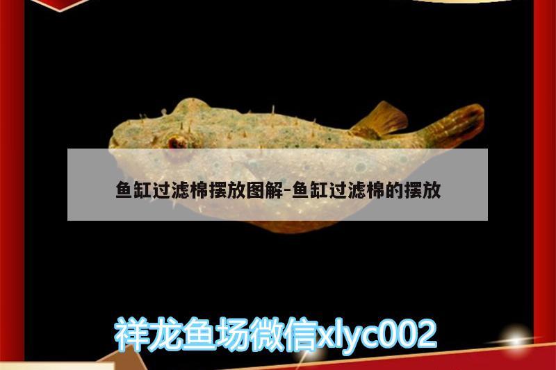 魚缸過濾棉擺放圖解:魚缸過濾棉的擺放