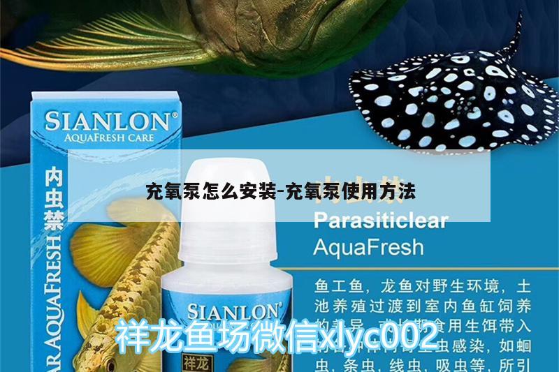 充氧泵怎么安裝:充氧泵使用方法 白子銀版魚苗